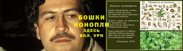 гидра Заводоуковск