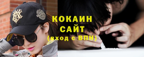 меф Ельня