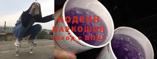 гидра Заводоуковск