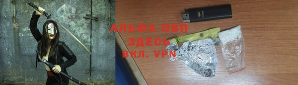 меф Ельня