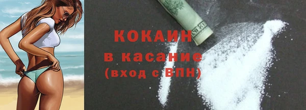 твердый Дмитровск