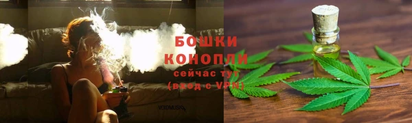 apvp Елабуга