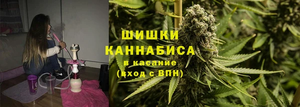 молекула духа Елизово