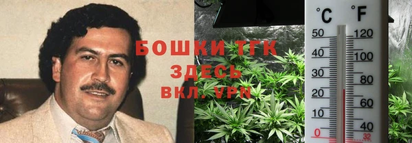 гидра Заводоуковск