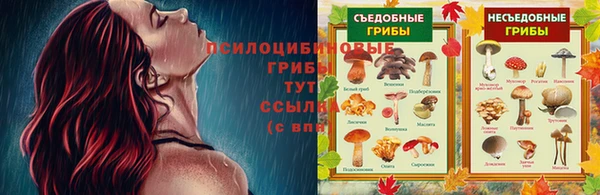 гидра Заводоуковск
