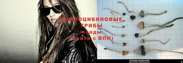 меф Ельня